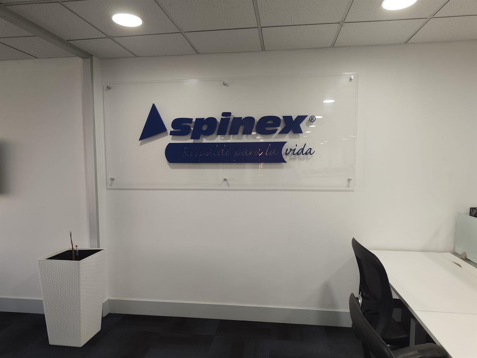 Oficinas Spinex