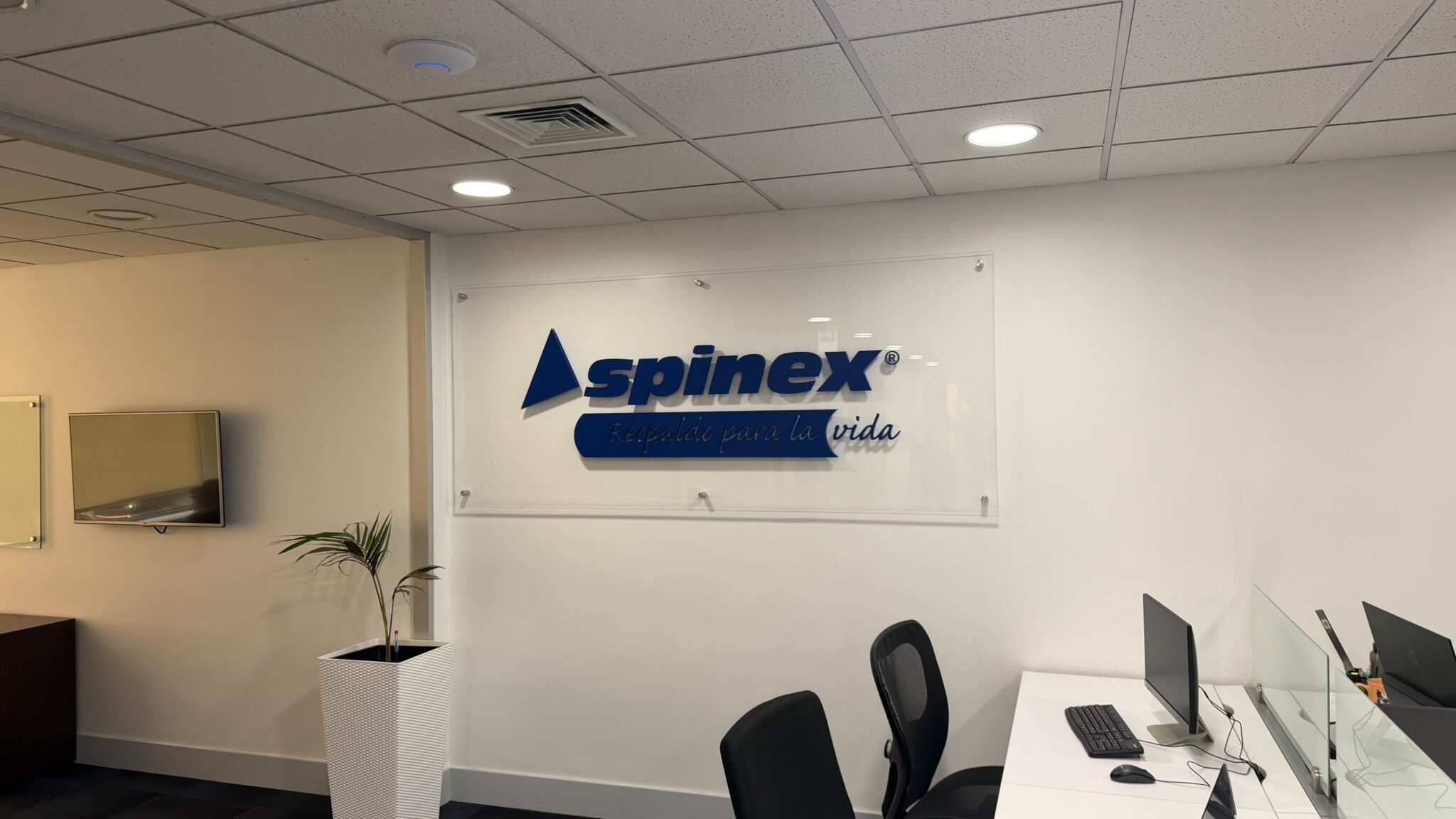 Oficinas Spinex